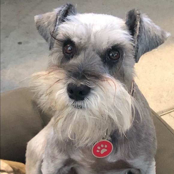 Meet your Posher, Claudia - Picture 1 of 1